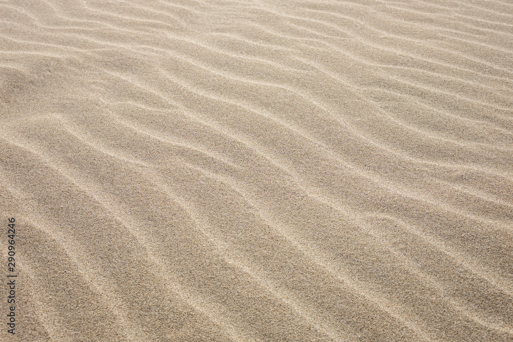 sand surface with waves, texture and background. sand surface with waves, texture and background.