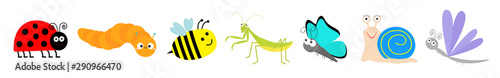 Cute cartoon insect set line. Mantis, ladybug, ladybird, bee, dragonfly, butterfly, caterpillar, snail. White background. Isolated.