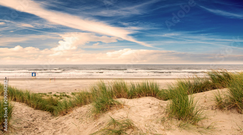 Fototapeta Naklejka Na Ścianę i Meble -  Wonderful dune beach landscape on the North Sea island Langeoog in Germany with grass, blue sky and clouds on a beautiful summer day, Europe.