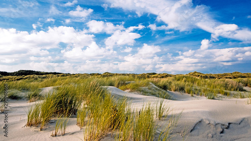 Wonderful dune beach landscape on the North Sea island Langeoog in Germany with grass  blue sky and clouds on a beautiful summer day  Europe.