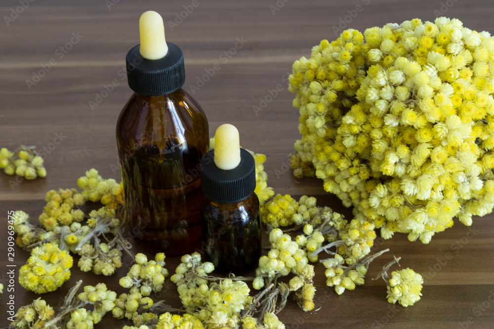 Fototapeta premium The Helichrysum Arenarium golden grass on the wooden background.