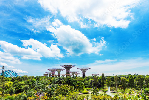 Photography Supertree grove in garden by the bay, Singapore.
