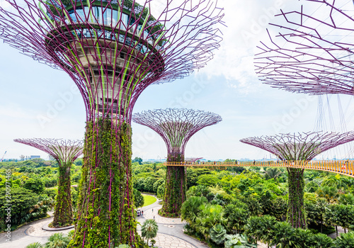 Supertree grove in garden by the bay, Singapore.