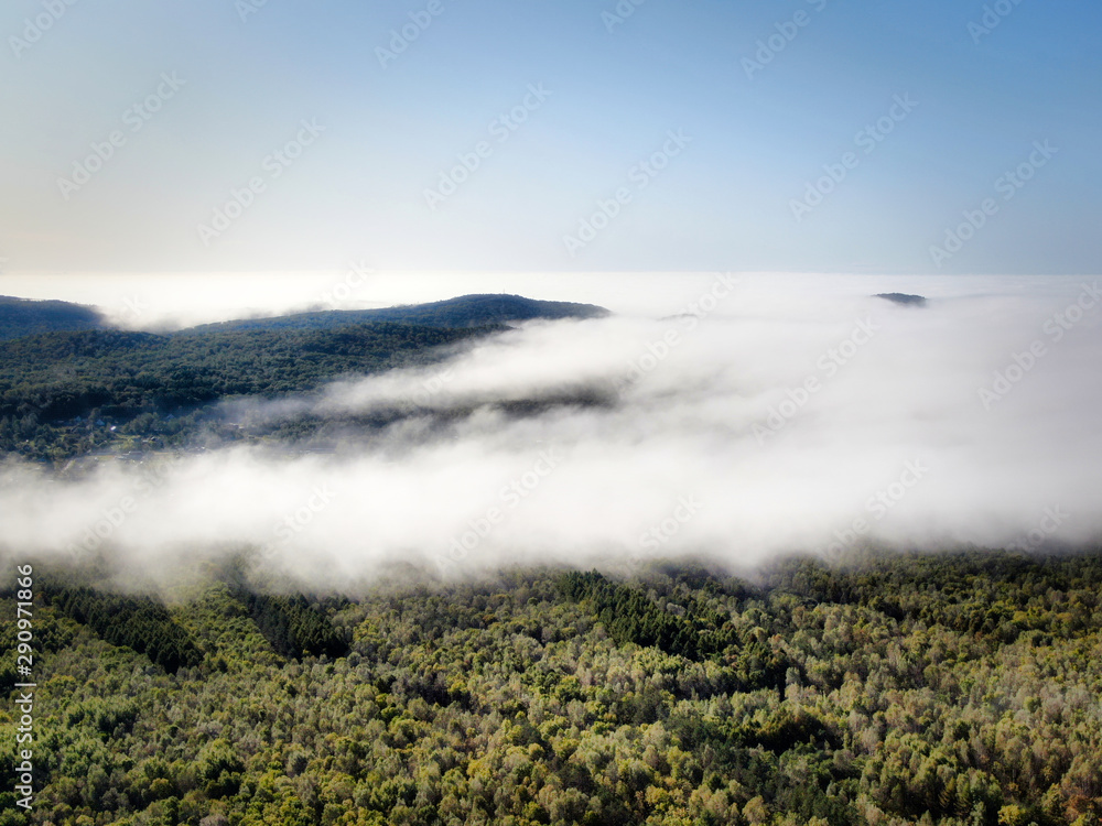 Fototapeta premium fog in the mountains