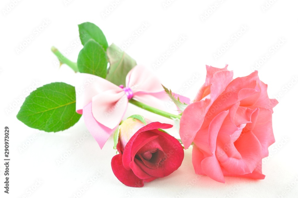 rose flower with valentine day rose flower with valentine day