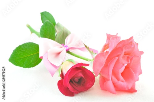 rose flower with valentine day