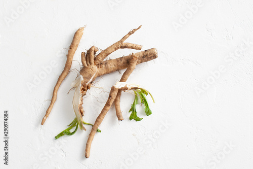 Crude chicory root (Cichorium intybus) with leaves on a white background. photo