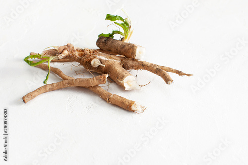 Chicory root (Cichorium intybus) with leaves on a white background.