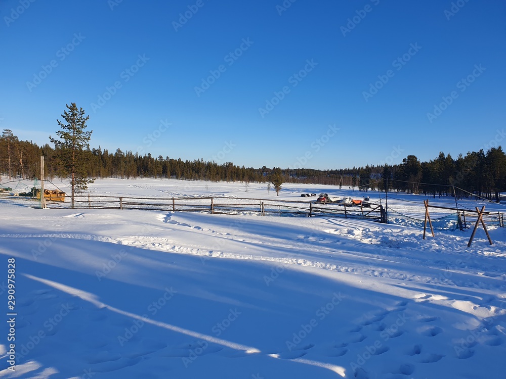 winter landscape with road and blue sky