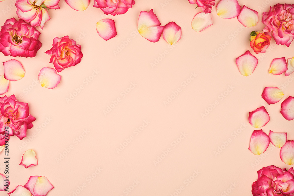 blooming buds of pink roses on a beige background