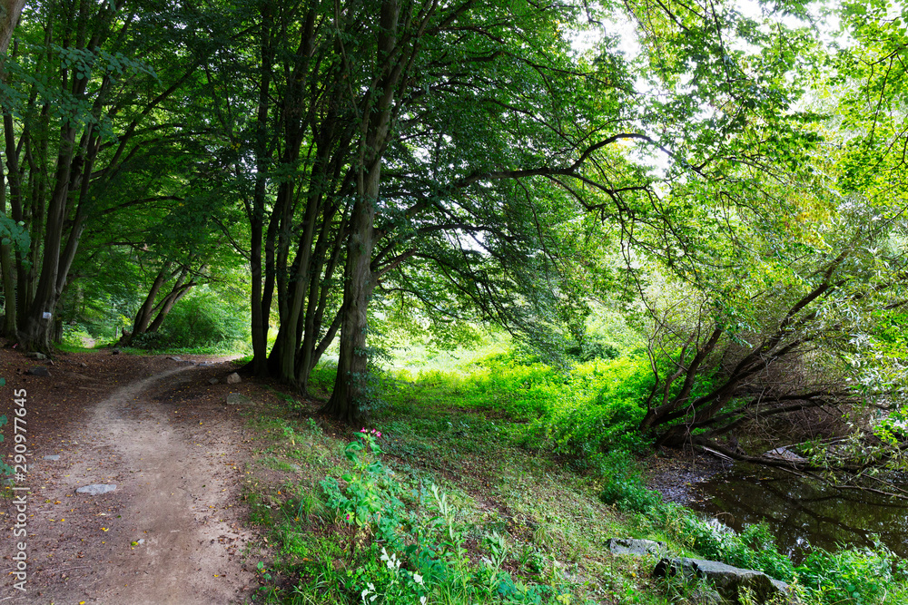Romantic solitude Path with old big Trees about River Sazava in Central Czech Romantic solitude Path with old big Trees about River Sazava in Central Czech