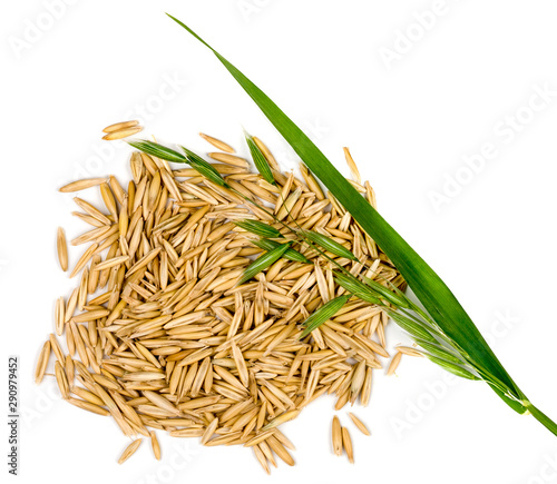 Grain oats isolated on white background