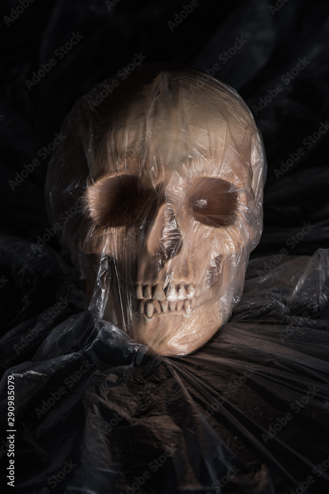 spooky human skull in cellophane on black background, Halloween decoration spooky human skull in cellophane on black background, Halloween decoration