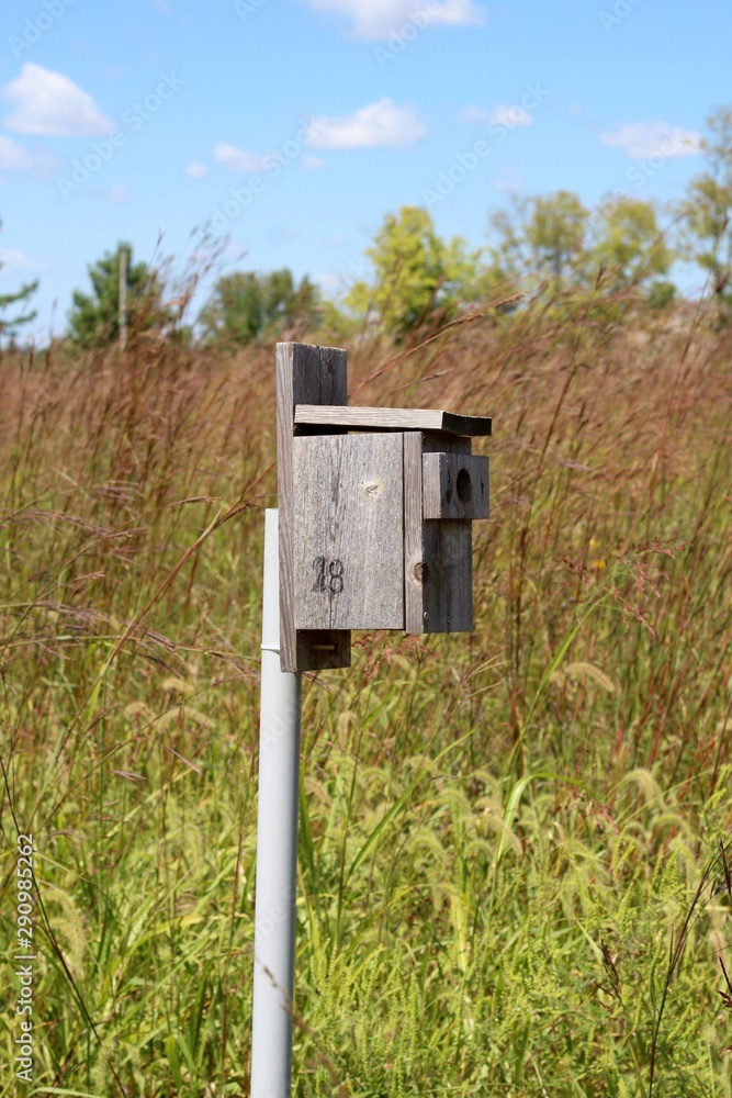 A close view of old wooden birdhouse in the grass field. A close view of old wooden birdhouse in the grass field.