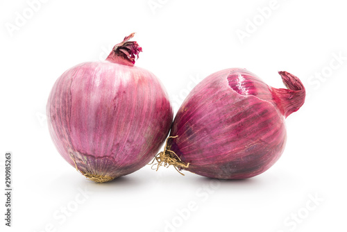 2 whole fresh purple onions closeup isolated on white background