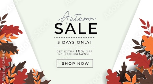 Autumn sale promo banner with paper style leaves vector illustration. Template with profitable proposition of three days only sell-out and get shop now button flat style concept. Advertising concept