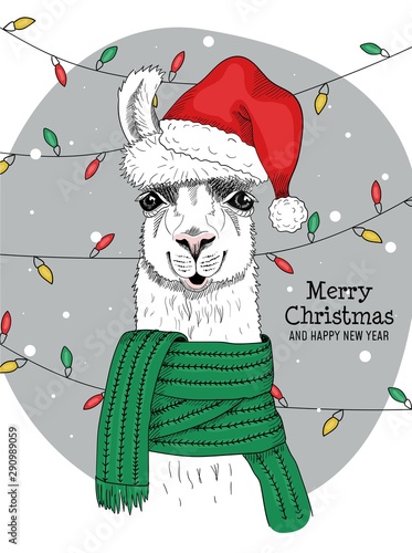 Merry christmas and happy new year from joyful llama vector illustration. Joyful alpaca wearing red x-mas santa claus hat and looking at camera congratulating everyone. Winter holidays concept