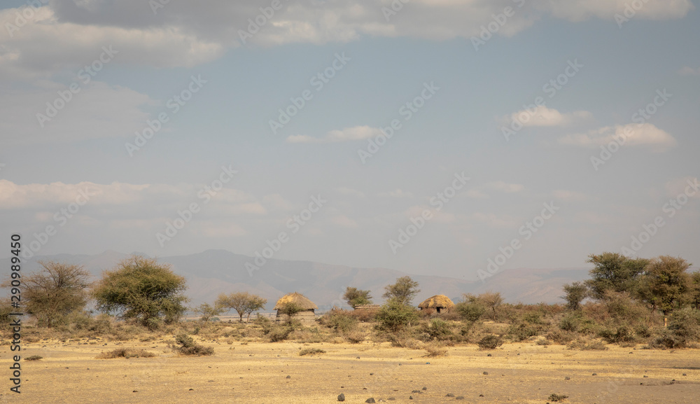 maasai boma in tanzanian landscape