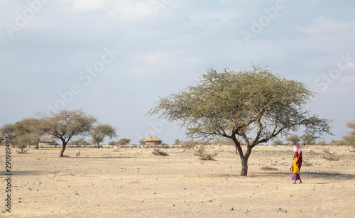 maasai woman with a bucket on water on her head walking in savannah photo