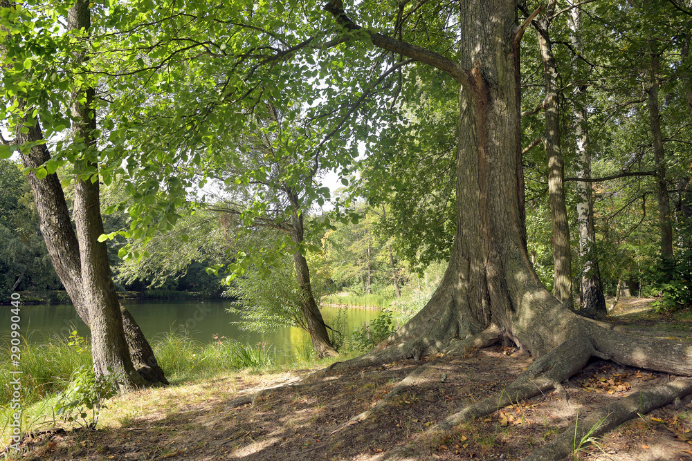 Obraz premium am jungfernheidesee