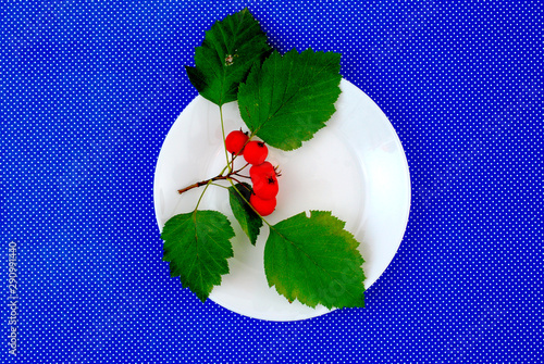 red berries with leaves  , white plate ,top view on blue background photo