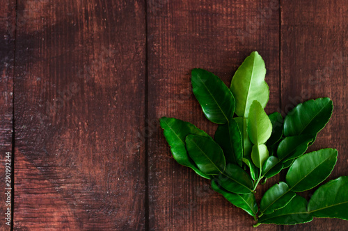 Fresh Green Kaffir Lime Leaves on wooden desk Background, ingradient for Asia's food with copy space