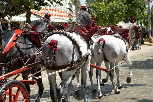 horses and carriages at folk festivals