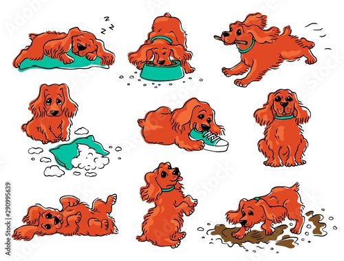Dog behavior drawing set - cartoon orange puppy sleeping, eating, playing
