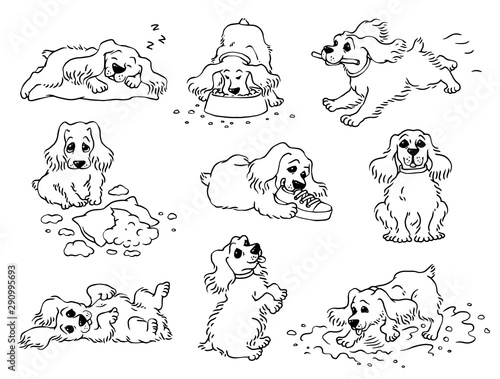 Dog behavior - black and white drawing set of cute pet