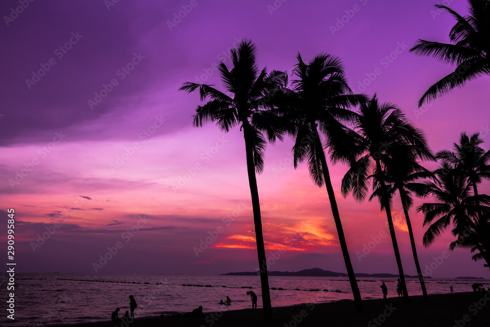 Beautiful sunrise and landscape at sea with silhouette of coconut tree..