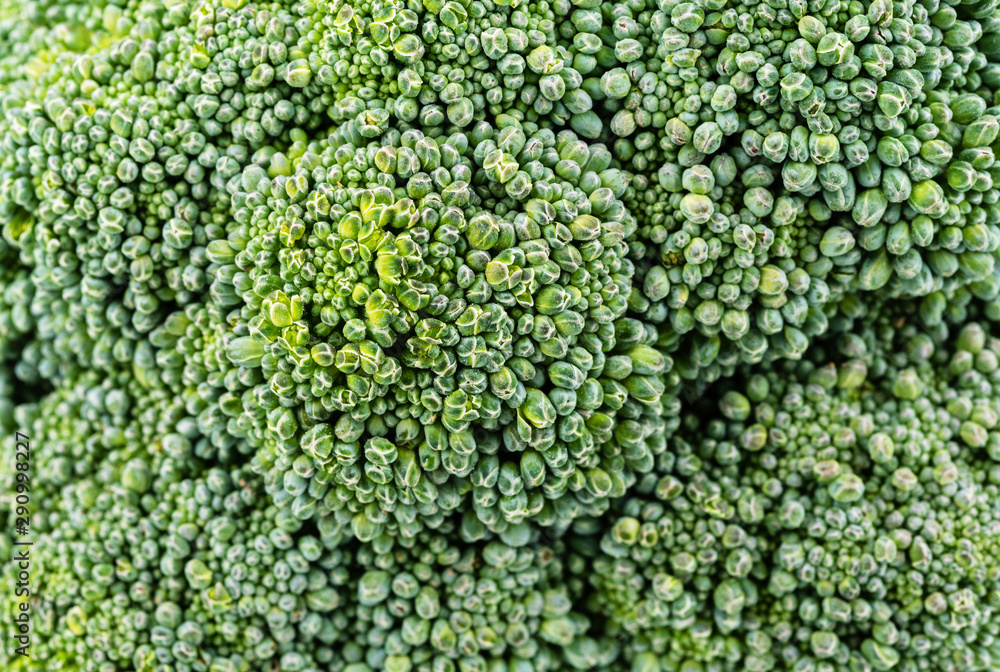 green broccoli close-up background