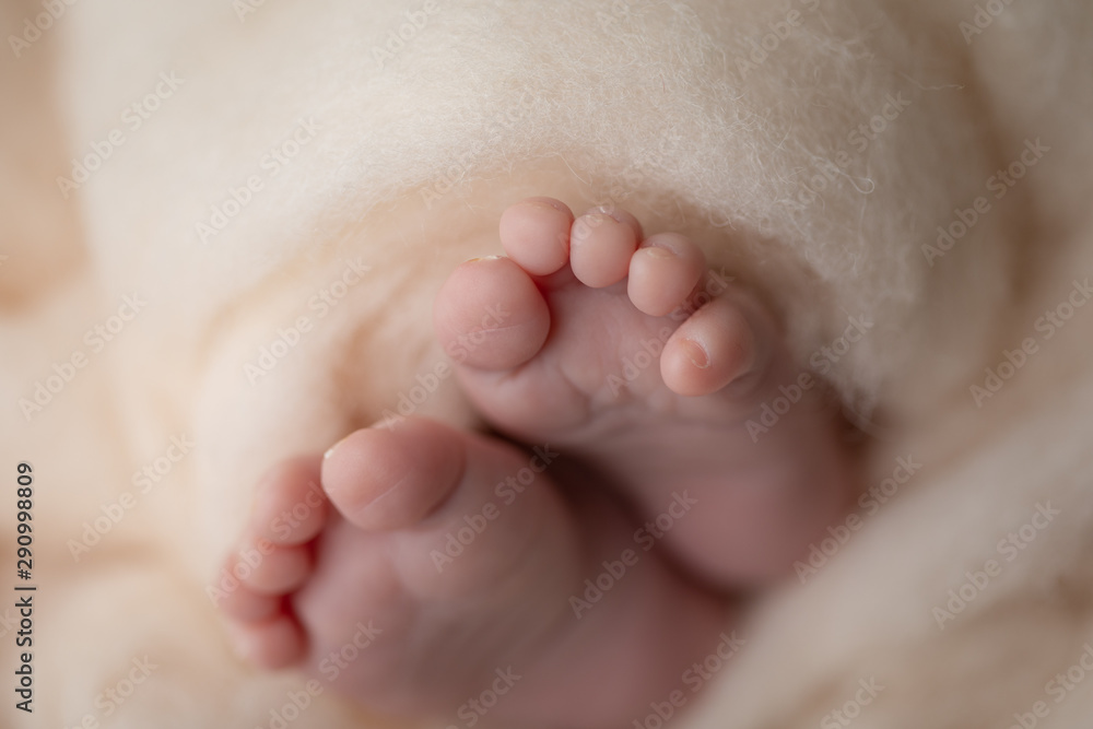 Closeup of newborn baby feet. copy space Closeup of newborn baby feet. copy space