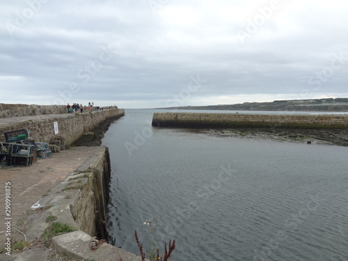 Wallpaper Mural birds, castles and water Torontodigital.ca