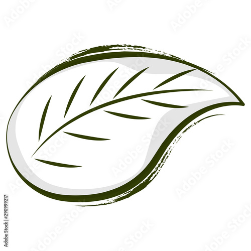 Isolated sketch of a leaf - Vector illustration