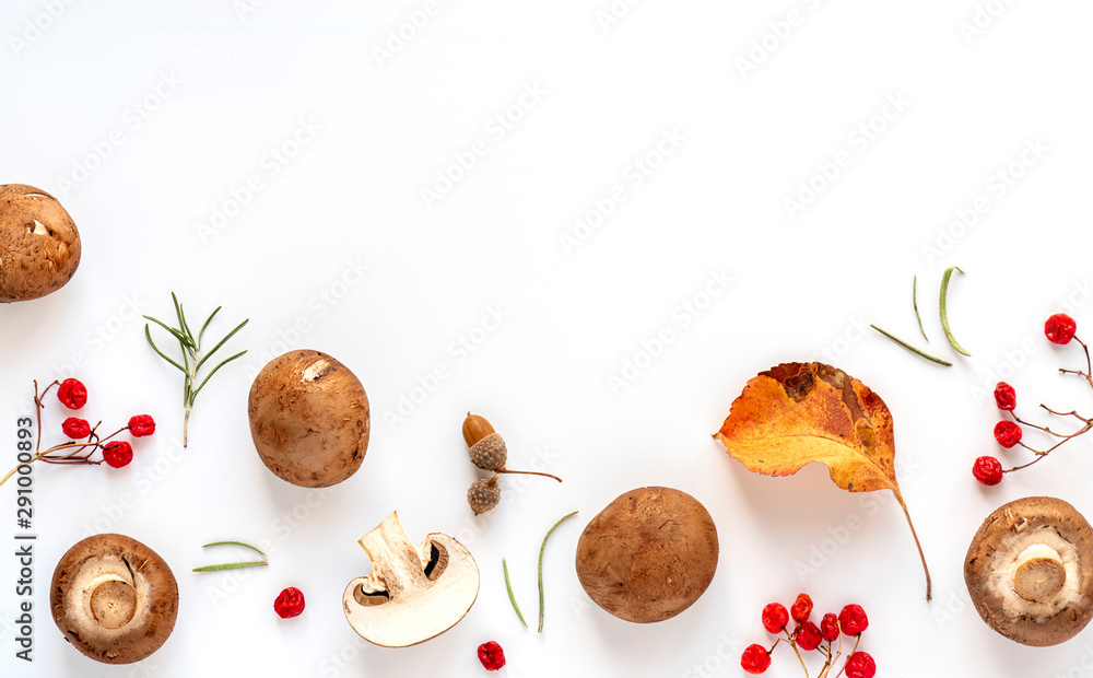 Autumn mushroom background. Fresh brown champignon mushrooms, red viburnum berries and autumn leaves on a white background, top view, flat lay, copy space