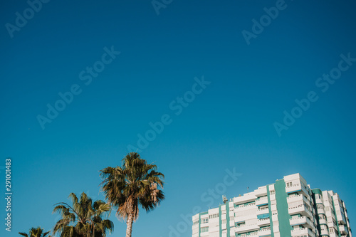 Turistic house and palms trees on the beach © soniaalmudevar