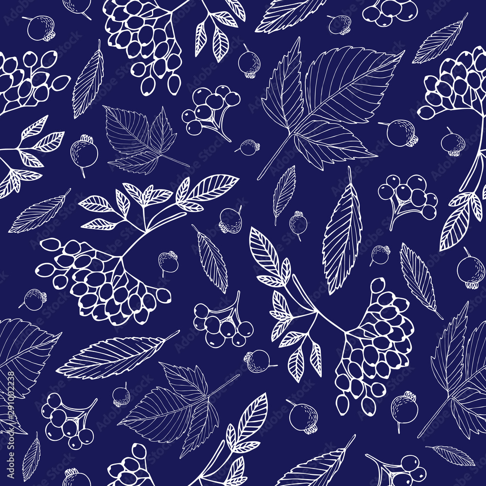 Fototapeta premium pattern of berries, leaves, rosehip, white outline, on blue background vector illustration for design and decoration