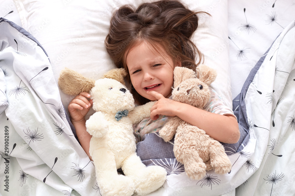 Top view of child crying in bed, sad kid on pillow in bedroom, liitle girl lying on linens with dandelion, upset toddler in pajama lay swith her teddy bears in bed in morning. Childhood concept. Top view of child crying in bed, sad kid on pillow in bedroom, liitle girl lying on linens with dandelion, upset toddler in pajama lay swith her teddy bears in bed in morning. Childhood concept.