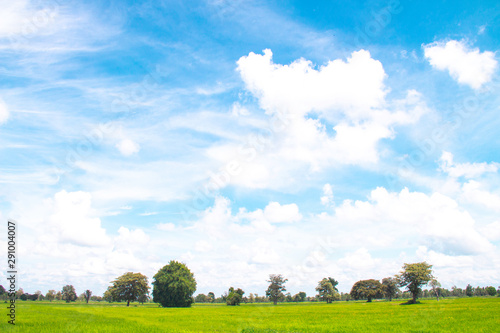 White clouds in Blue sky with meadow tree,  the beautiful sky with clouds have copy space for the landscape background.