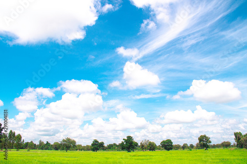 White clouds in Blue sky with meadow tree, the beautiful sky with clouds have copy space for the landscape background.