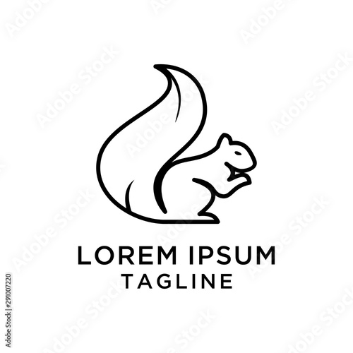 Squirrel Logo Design Template Vector