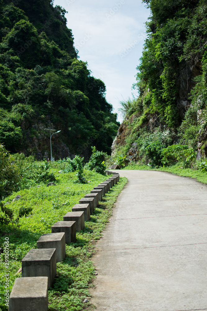 Imagen de la jungla y una carretera en el interior de la isla de Cat Ba, de Vietnam, durante el verano Imagen de la jungla y una carretera en el interior de la isla de Cat Ba, de Vietnam, durante el verano