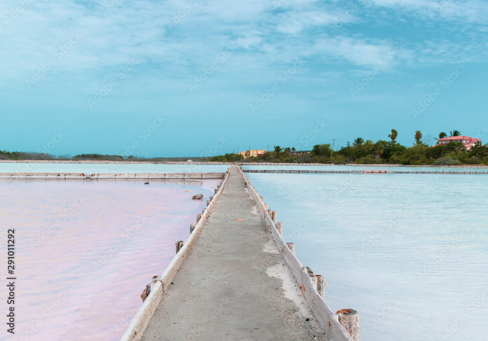 Puerto Rico's salt flats Puerto Rico's salt flats