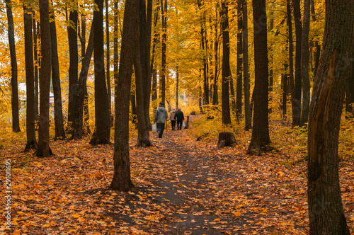 people with bags walk in the autumn forest