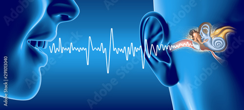 People talking, soundwave and ear anatomy, medical 3D illustration photo