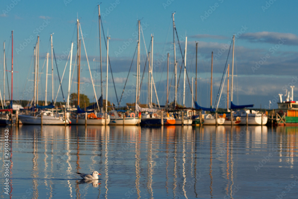 Fototapeta premium Ostseebad Rerik Salzhaff Boote