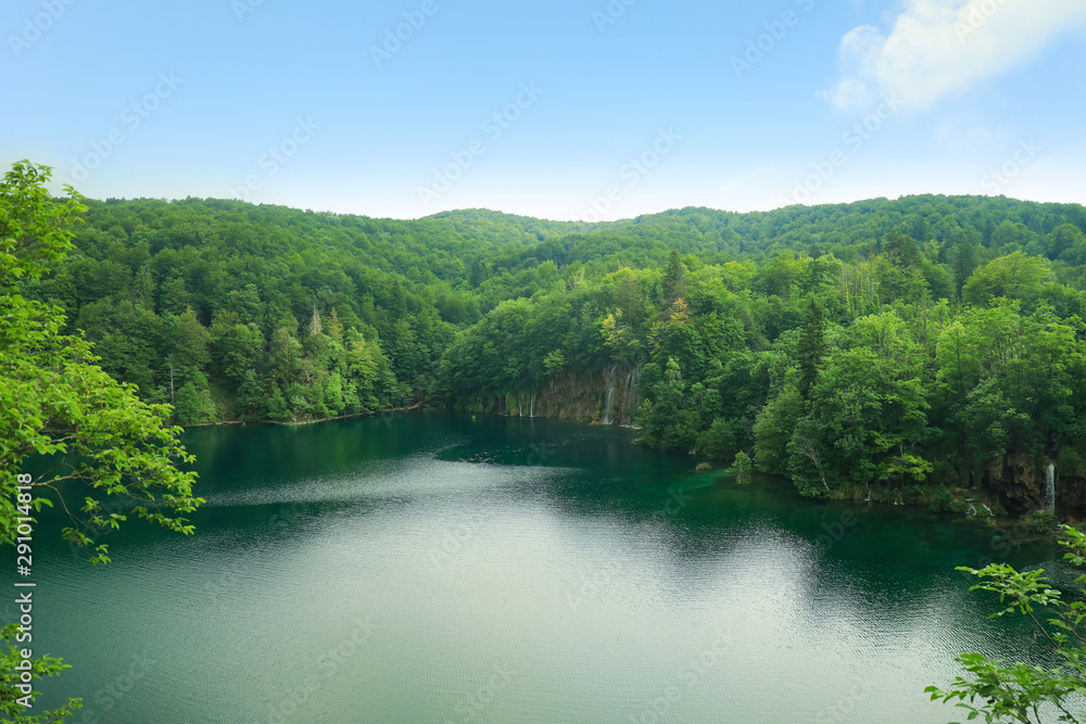 Picturesque view of beautiful river and forest on sunny day