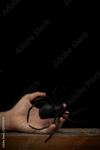 Bild auf Leinwand Hand holding Fake rubber spider toy  on black background, hallow