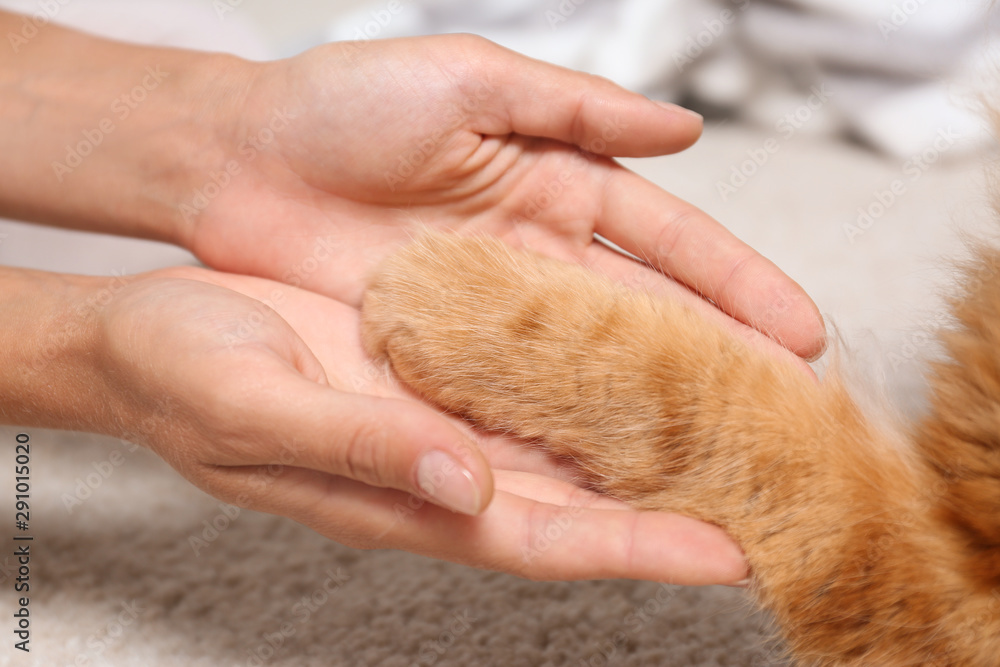 Woman and cat holding hands together on light carpet, closeup view