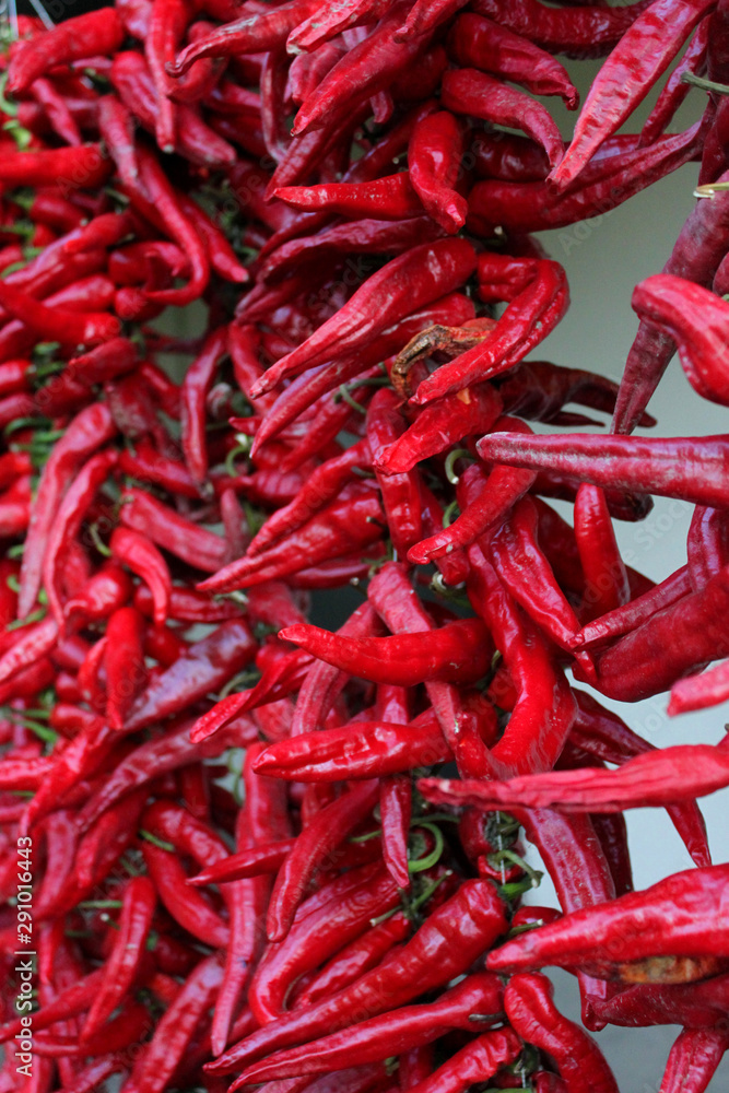 Dry ripe red pepper outdoors.The local variety of hot pepper from which they get seasoning - adjika. Abkhazia